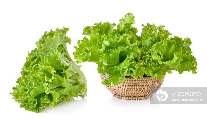 Fresh green lettuce in the basket isolated on a white background