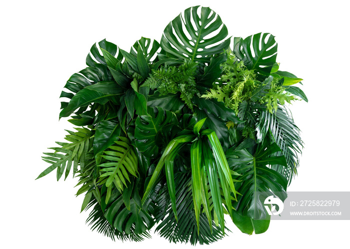 Group Green leaves tropical foliage plant bush of philodendron, dracaena and fern floral arrangment 