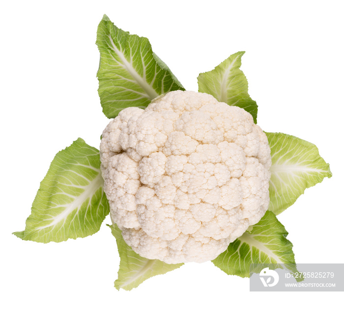 A head of fresh cauliflower. Healthy eating and vegetarianism. Color background.