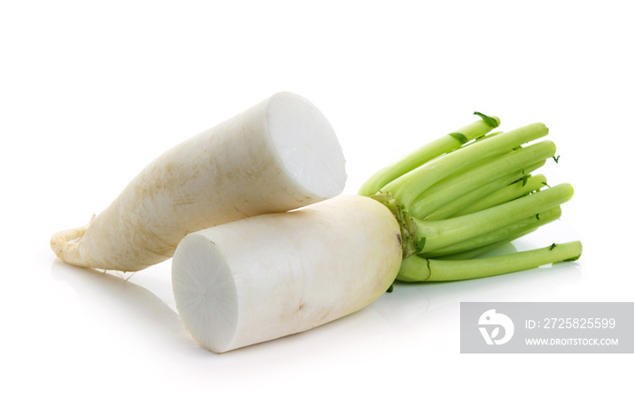 radish on white background