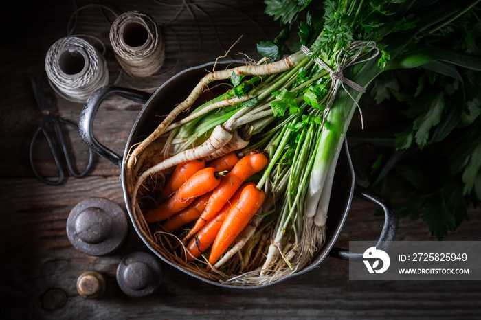 Ingredients for homemade vegan soup with parsley, carrots and leek