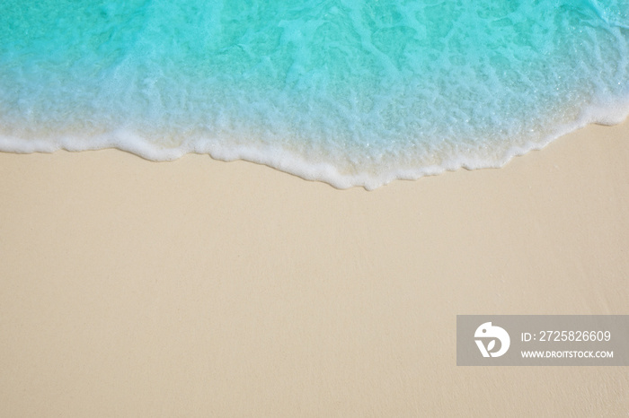 背景是马尔代夫海滩上柔和的蓝色海浪。