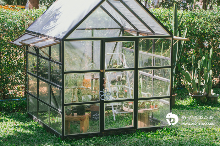 green house in the home garden, planting cactus nursery