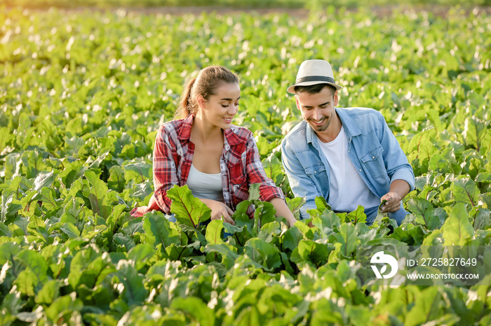 Young farmers working in field