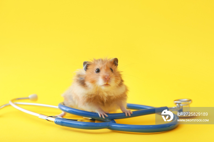 Funny hamster with stethoscope on color background. Veterinary concept