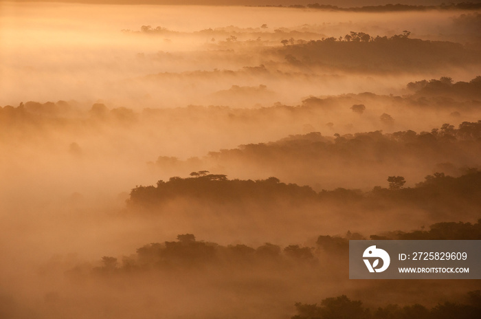 清晨薄雾，莫桑比克中部。