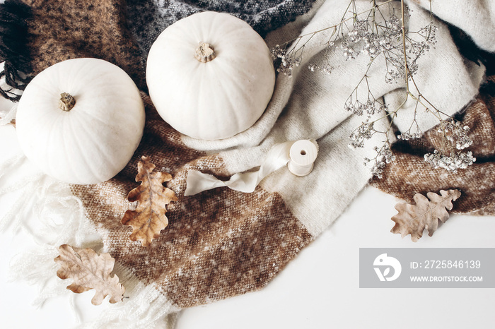 Autumn, cozy composition, winter scene with white pumpkins, dry oak leaves, gypsophila flowers, brow