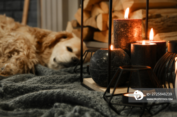 Beautiful burning candles with sleeping dog near fireplace