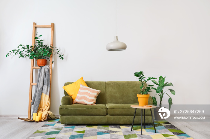 Stylish interior of living room with sofa and plants