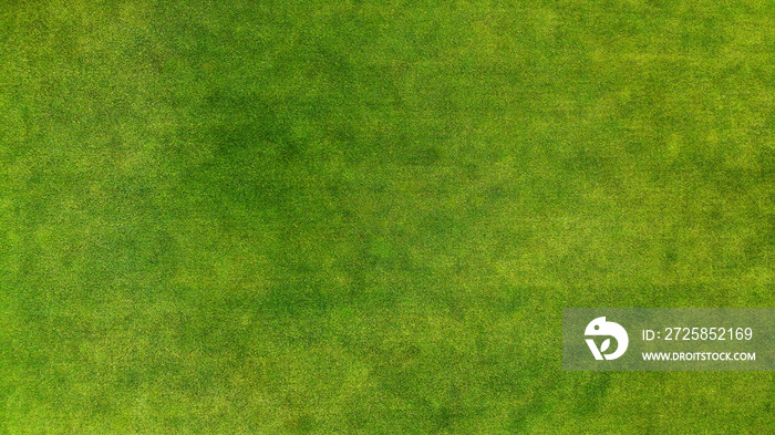 Aerial. Green grass texture background.