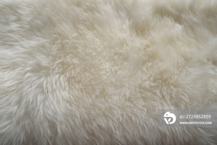 white sheepskin texture with soft hairs, natural fur for the designer, the concept of processing, pr