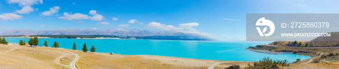 新西兰南岛普卡基湖和库克山全景，夏季
