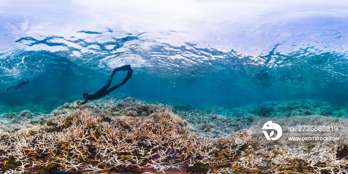 360 of snorkeler diving coral reef in American Samoa