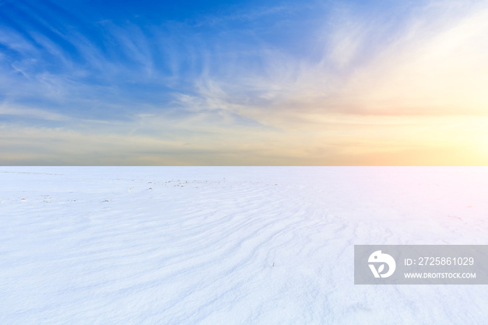 背景是白雪覆盖的田野的冬季景观