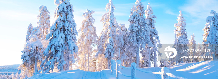 冬季景观，有乡村雪路和木栅栏。高大的树木被雪覆盖
1463178426,旧垃圾深色纹理木质背景