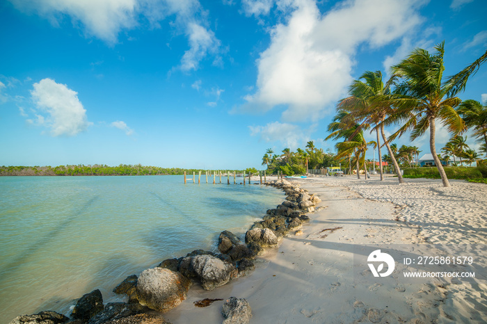 White sand and palm trees in Marathon Key