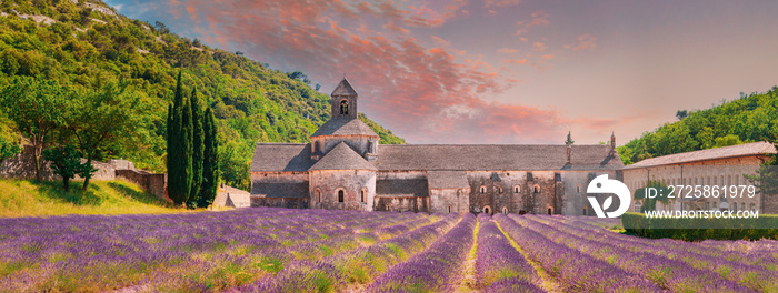 Notre-dame De Senanque Abbey, Vaucluse, France. Beautiful Landscape Lavender Field And An Ancient Mo