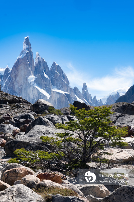 Cerro Torre Trek，El Chalten，巴塔哥尼亚，阿根廷