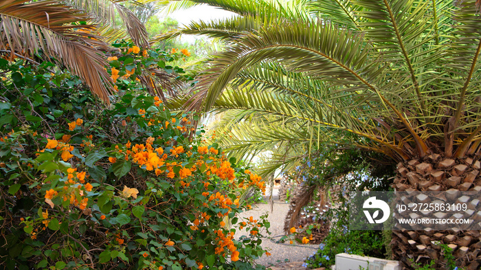 Fuerteventura, beautiful streets of Puerto del Rosario