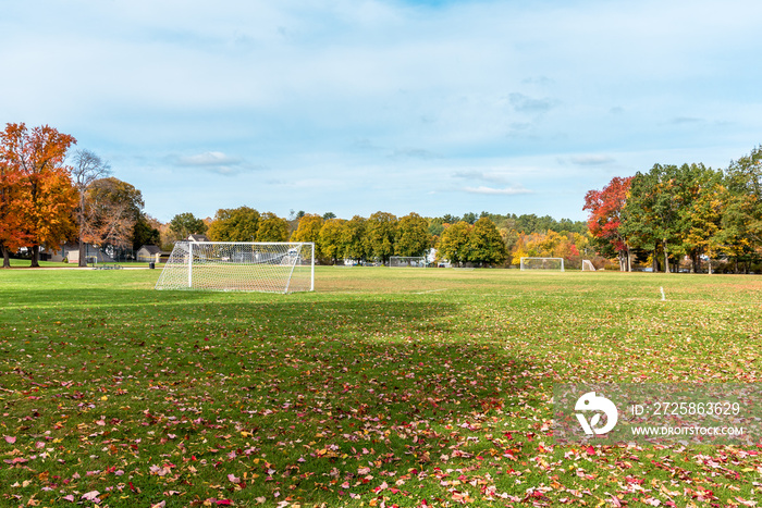 阳光明媚的秋日，公园里一个被落叶覆盖的空足球场。美丽的秋天