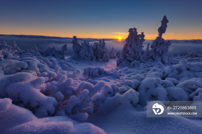 捷克共和国耶塞尼基山脉的冬天。摄影中有大量的雪。