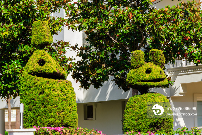 Beautiful funny bush figures in a garden