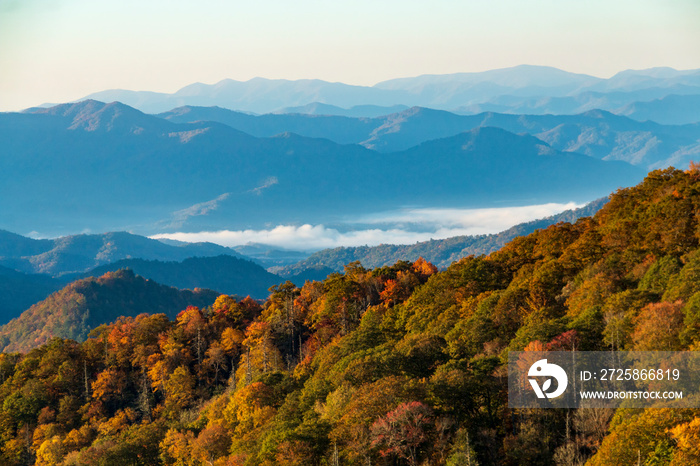 vibrant early morning autumn in the Great Smoky Mountains national park in Tennessee  overlooking th