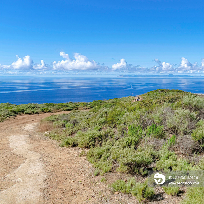 Square Dirt road and bushes on cliff with ocean in Crystal Cove State Park California