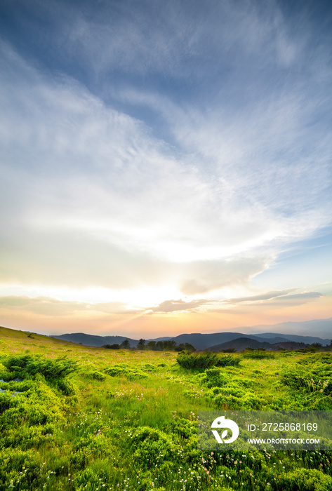 Sunset over green field