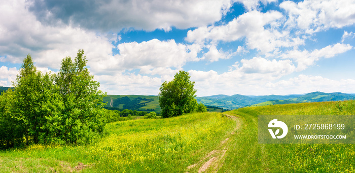 country road through grassy meadow on hillside. beautiful summer scenery of Carpathian mountains. go