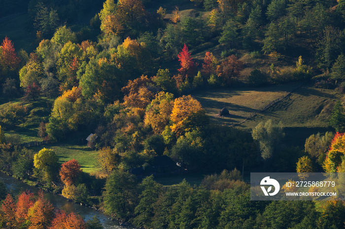 Aerial view of houses and forest in autumn season