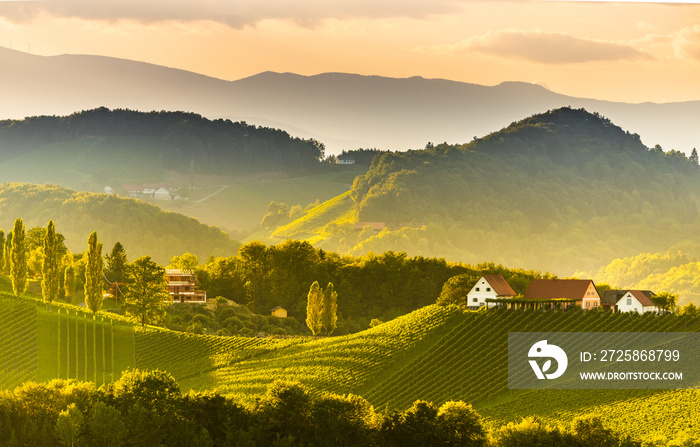 South styria vineyards landscape, near Gamlitz, Austria, Eckberg, Europe. Grape hills view from wine