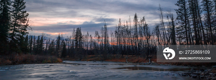 sunrise over forest river