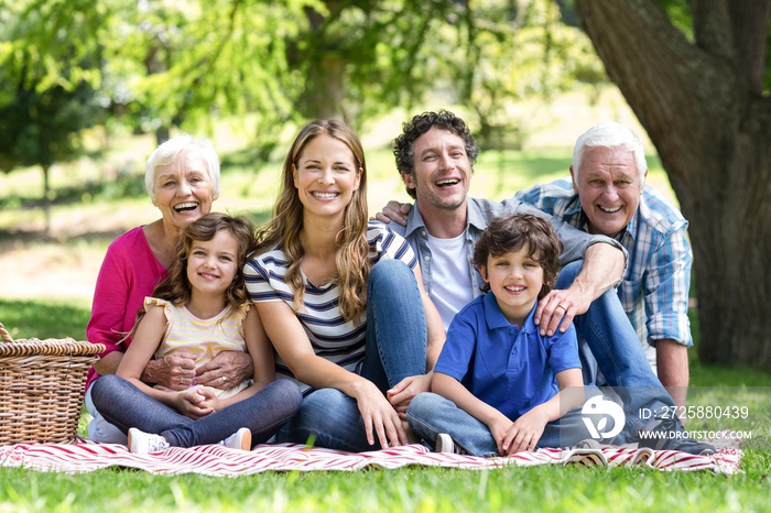 Smiling family having a picnic