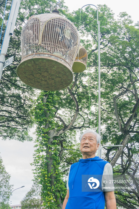 一位活跃的老年鸟类收藏家