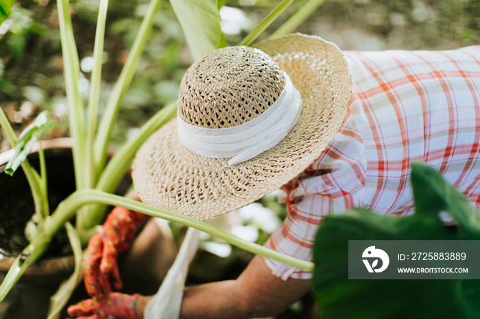 Woman digging in her garden