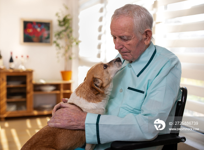 Cute dog in senior man lap