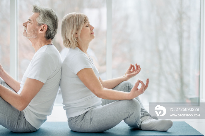 一起冥想。一对老年夫妇在白色健身房一起做瑜伽的裁剪照片。健康
1581531125,插图文档图标