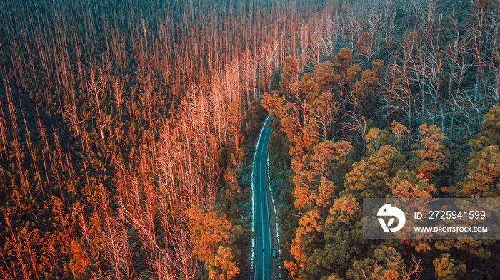 Aerial View of Road in Mountains, Australia