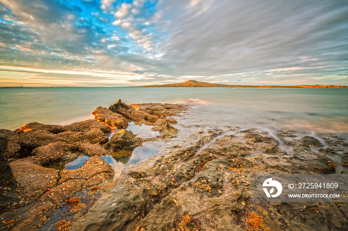 Beaches of Auckland St Heliers