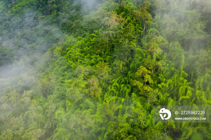 Aerial view of tropical rainforest. North Laos. Southeast Asia. Photo made by drone from above. Bird