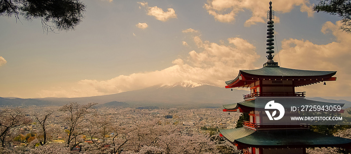 Chureito red Pagoda with beautiful Cherry Blossom or pink Sakura flower tree and Mount Fuji against 