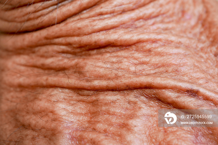 abstract background texture old man skin