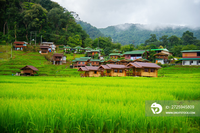 清迈省度假胜地和美丽的风景，为游客提供民宿木屋