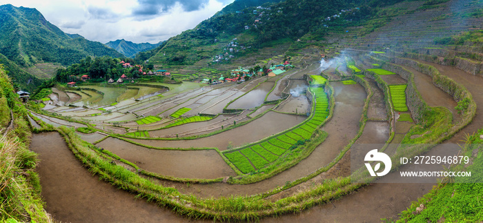 菲律宾吕宋岛巴达梯田全景