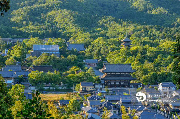 京都　雙ケ岡からの眺め(京都市)