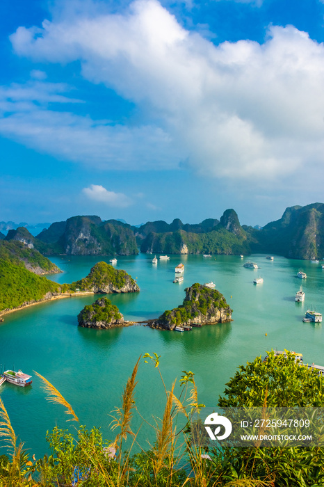 Ha Long Bay landscape, Vietnam