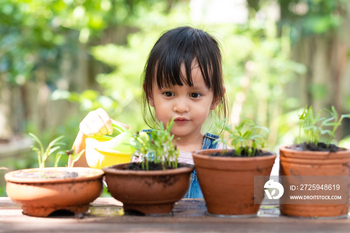 Adorable 3 years old asian little girl is watering the plant  in the pots outside the house, concept