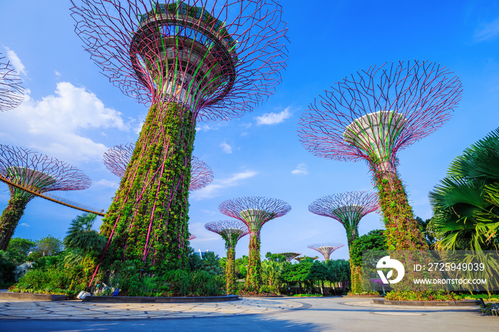 Gardens by the bay at Singapore