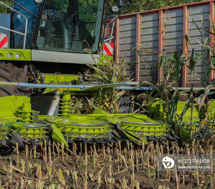 Maisernte, Maishäcksler in der Aktion, Erntewagen mit Traktor